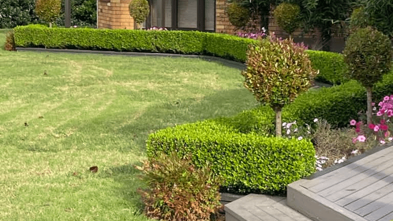 landscaping_auckland